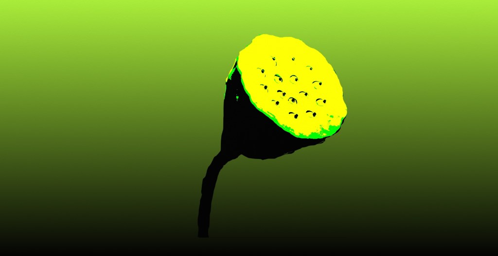 forms multiple 4 lotus