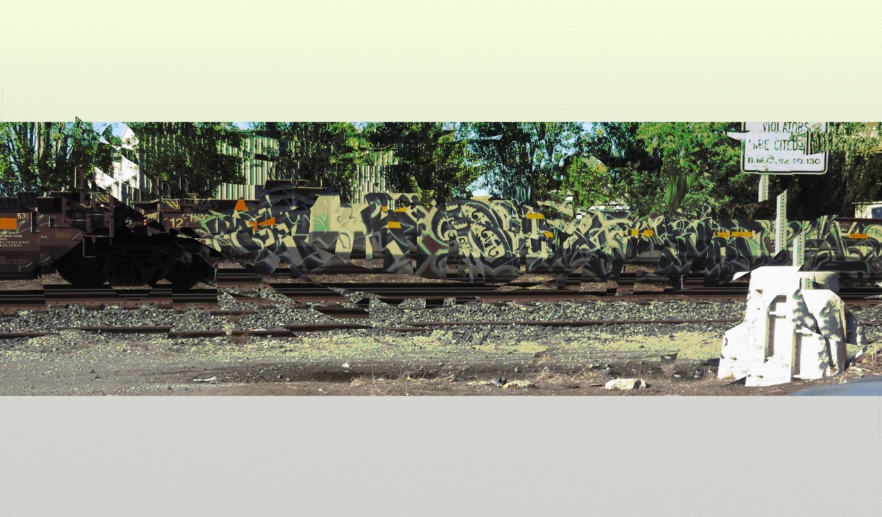 train car w grafitti