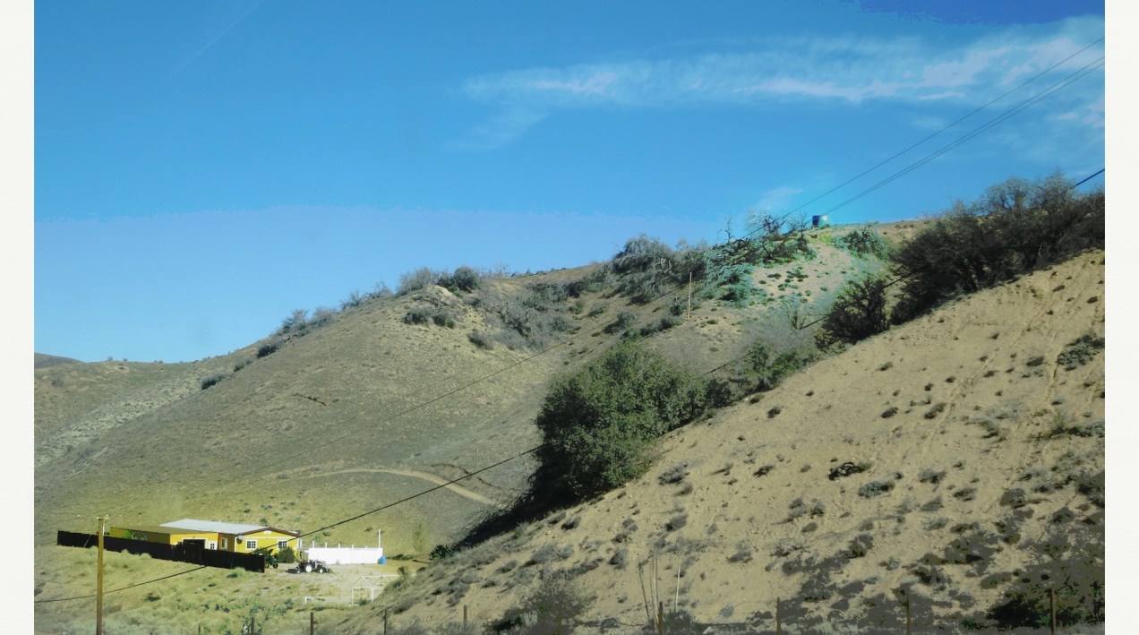 yellow house rev 2.jpeg