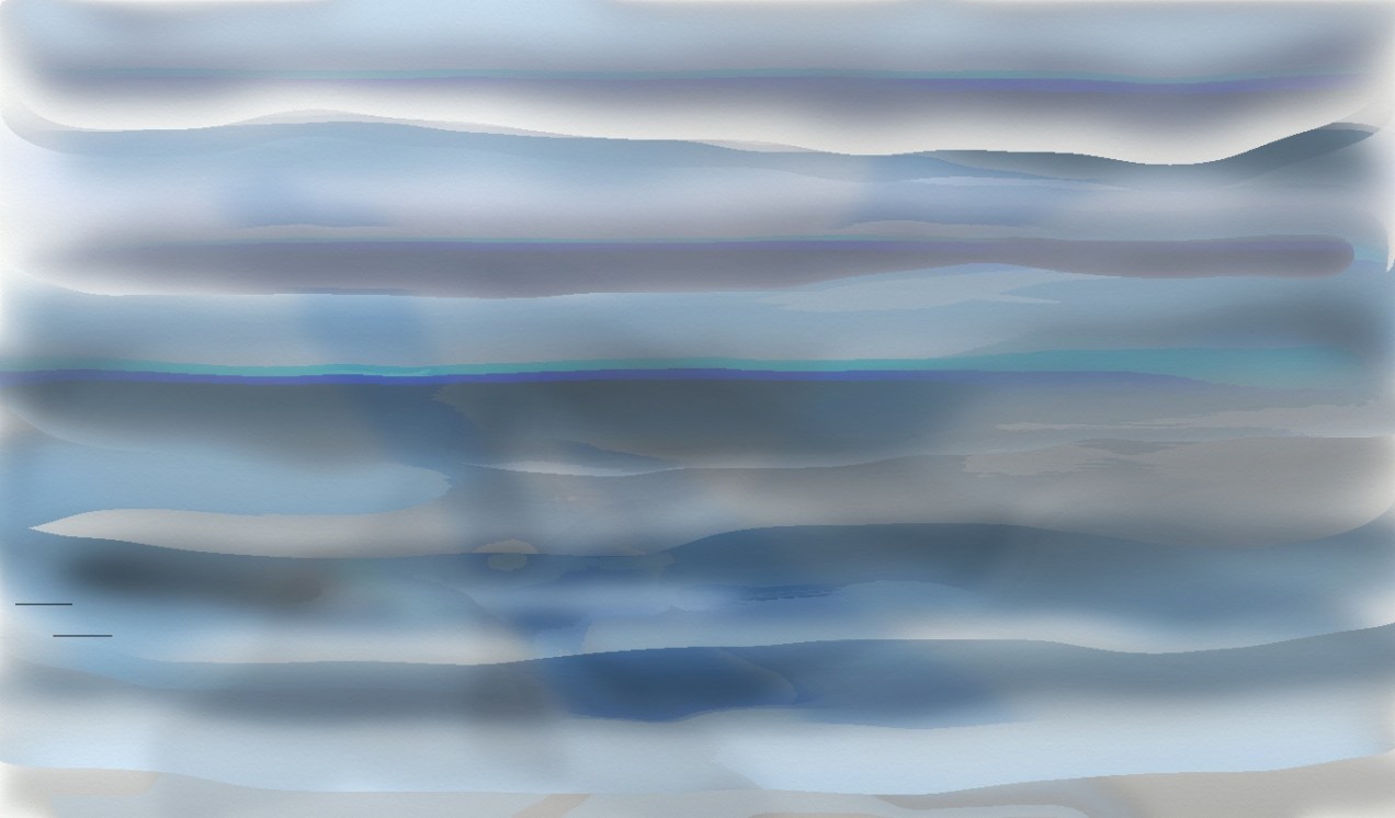 12-19-16 winter sky.jpeg