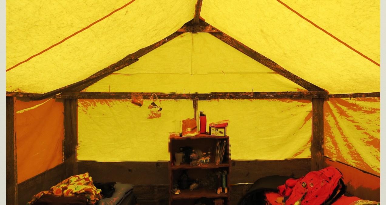 8051 pinecrest tent.jpeg