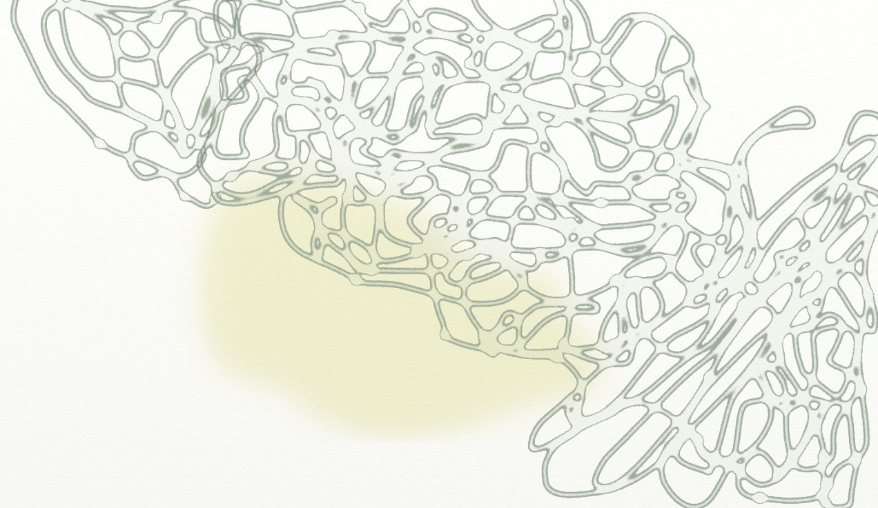 07-27-17 i kauai.jpeg