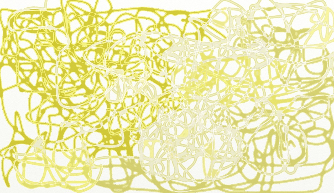 07-27-17 n kauai.jpeg