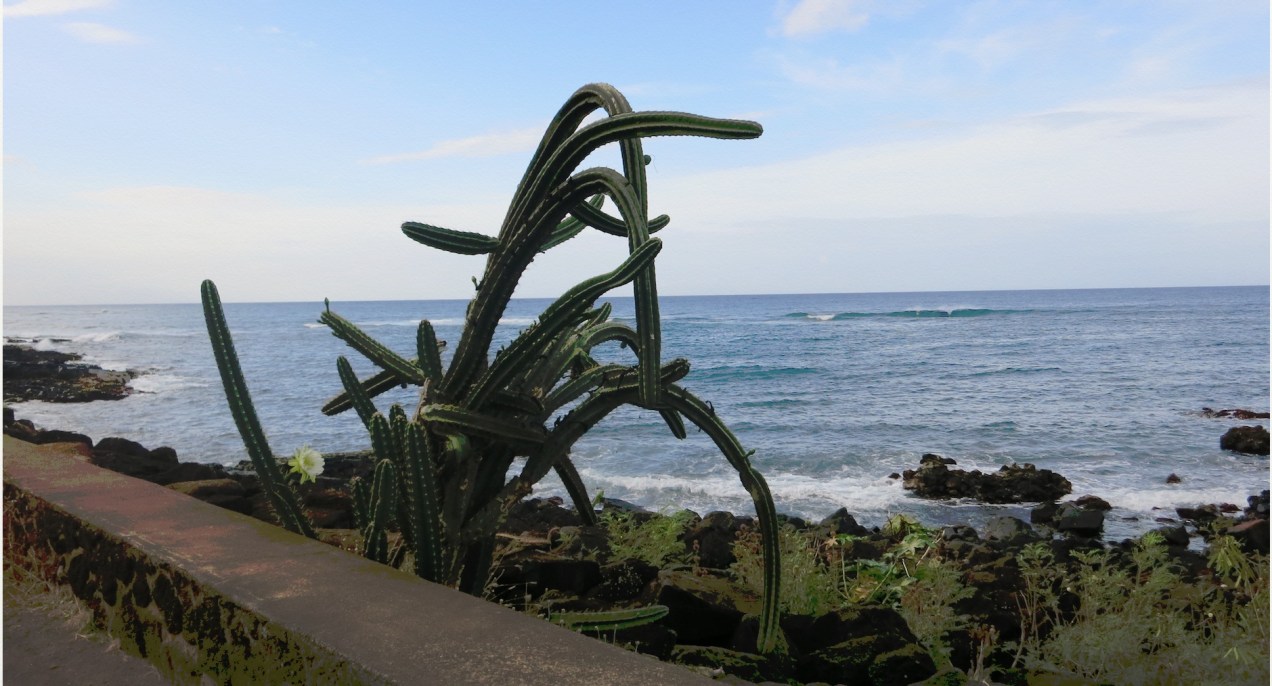 0611 kauai 2018.jpeg