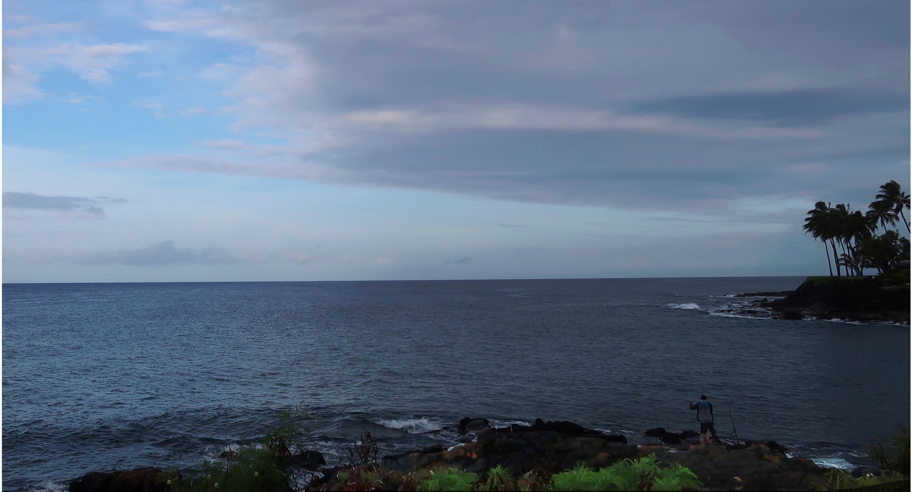 0976 kauai 2018 best v.jpeg